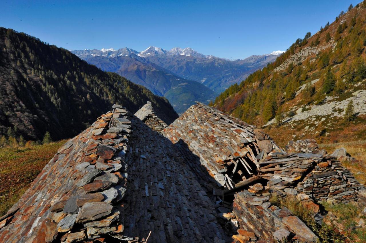 Rifugio Parpinasca Vandrerhjem Trontano Eksteriør bilde
